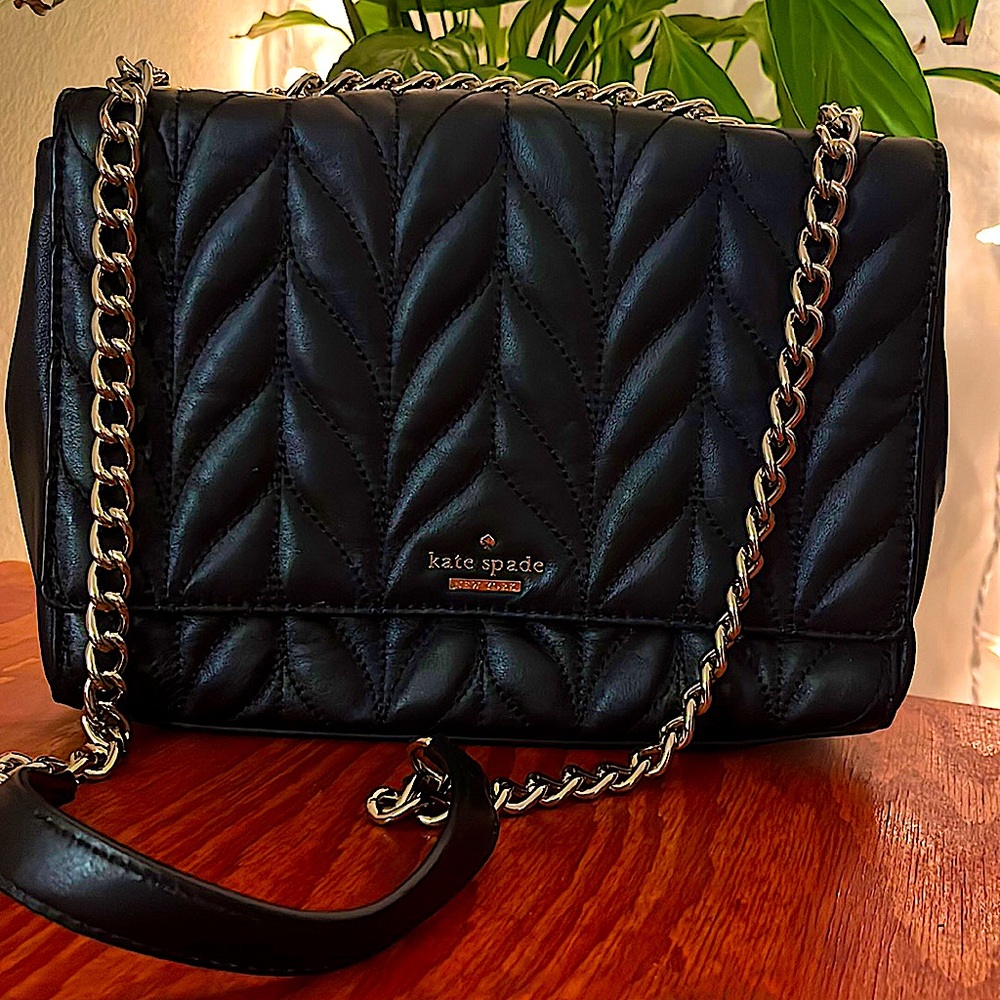 Kate Spade Briar Lane Crossbody Bag
